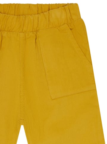 loud + proud Cordhose in Gelb