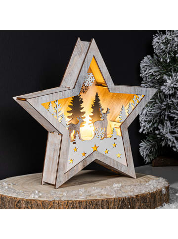 Hollybell LED-Dekoleuchte ''Star'' in Beige/ Weiß - (B)25,5 x (H)25,5 x (T)5 cm