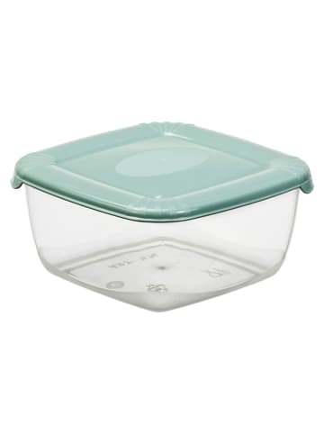 Plast Team Pojemniki w kolorze zielonym - 11,4 x 5,6 x 11,4 cm