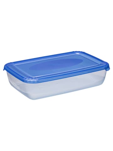 Plast Team Frischhaltedose in Blau - (B)25,5 x (H)6,2 x (T)16,7 cm