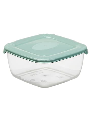 Plast Team Vershouddoos groen - (B)14,5 x (H)7,1 x (D)14,5 cm