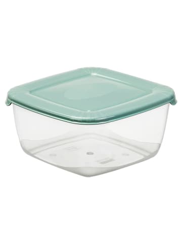 Plast Team Vershouddoos groen - (B)20 x (H)9,9 x (D)20 cm