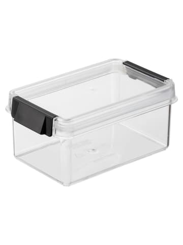 Plast Team Frischhaltedose in Schwarz - (B)16,8 x (H)8,8 x (T)10,9 cm