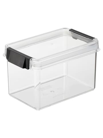 Plast Team Vershouddoos zwart - (B)16,8 x (H)10,5 x (D)10,9 cm