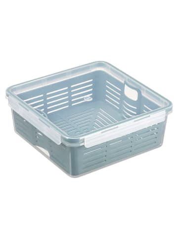 Plast Team Lunchbox in Blau - (B)22 x (H)8,5 x (T)22 cm