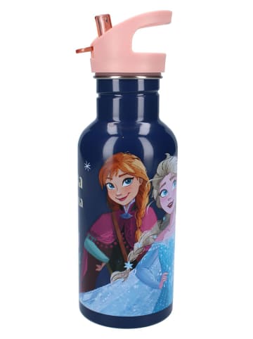 Disney Frozen Bidon "Frozen II Take A Sip" - 500 ml