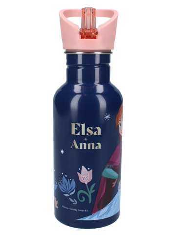 Disney Frozen Trinkflasche "Frozen II Take A Sip" - 500ml