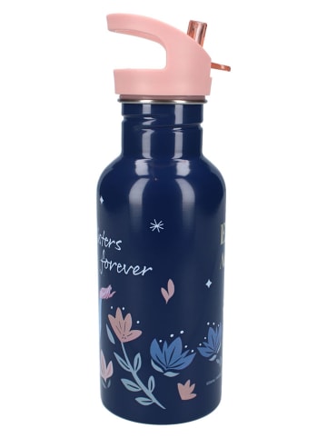 Disney Frozen Drinkfles "Frozen II Take A Sip" - 500 ml