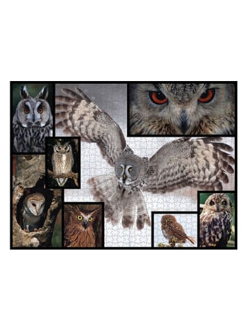 ambassador 1000-częściowe puzzle "Owl" - 12+