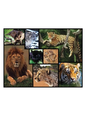 ambassador 1.000-delige puzzel "Wilde katten" - vanaf 12 jaar