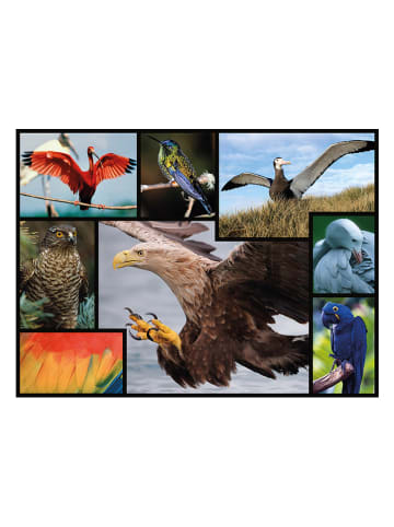 ambassador 1.000-delige puzzel "Vogels" - vanaf 12 jaar