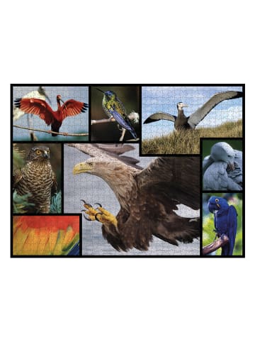ambassador 1.000tlg. Puzzle "Vögel" - ab 12 Jahren