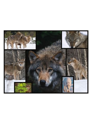 ambassador 1000-częściowe puzzle "Wolves" - 12+