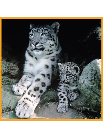 ambassador 100tlg. Puzzle "Schneeleoparden" - ab 5 Jahren