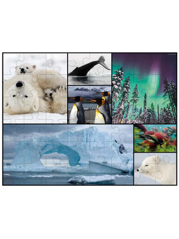ambassador 48tlg. Bodenpuzzle "Polar" - ab 3 Jahren