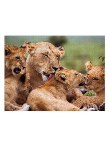 ambassador 1.000-delige puzzel "Leeuwen" - vanaf 12 jaar