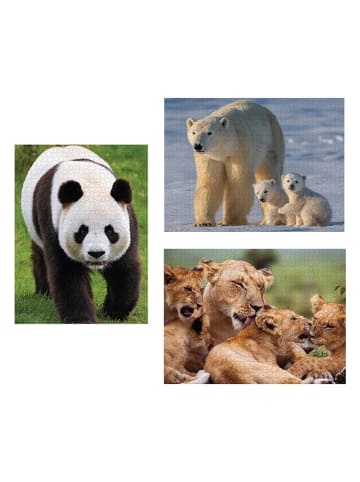 ambassador 1000-częściowe puzzle (3 szt.) - 12+