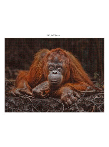 ambassador 1000-częściowe puzzle (3 szt.) - 14+