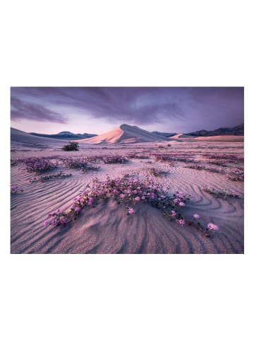 HEYE 1.000-częściowe puzzle "Arrow Dynamic" - 10+