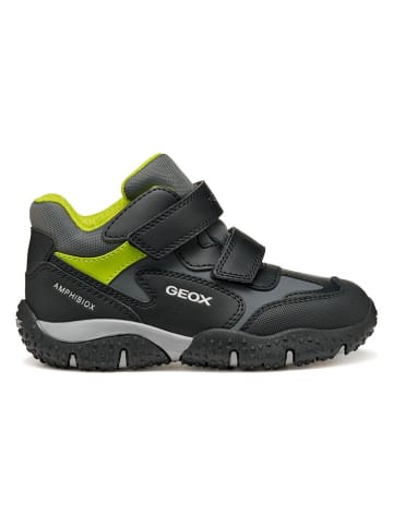 Geox Boots "Baltic" zwart