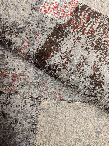 deco Rugs & Carpet Dywan "Milano" w kolorze kremowo-szarym