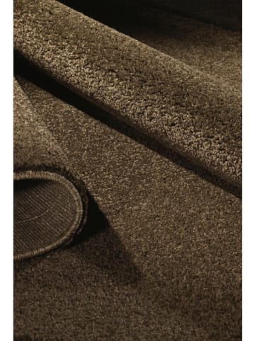 deco Rugs & Carpet Laagpolig tapijt "Milano" bruin