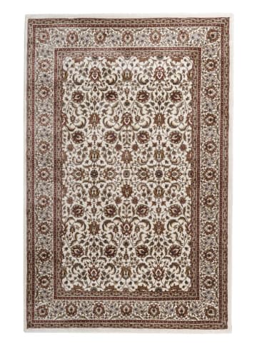 deco Rugs & Carpet Kurzflor-Teppich "Bazar" in Creme/ Braun