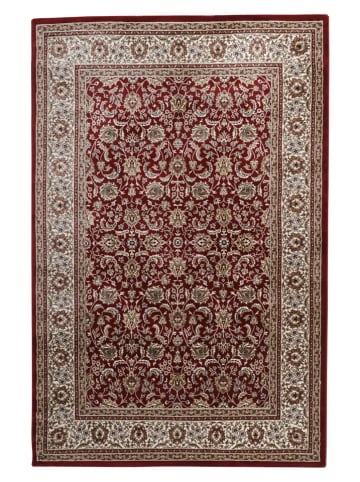 deco Rugs & Carpet Dywan "Bazar" w kolorze czerwonym