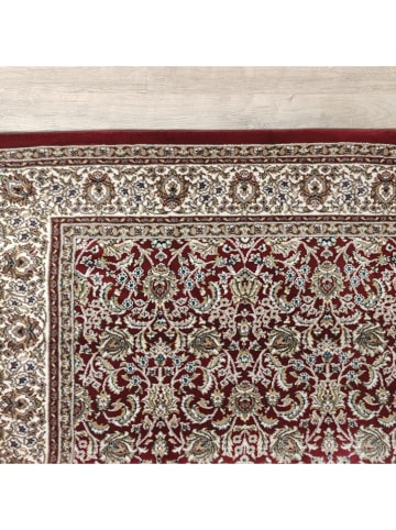 deco Rugs & Carpet Kurzflor-Teppich "Bazar" in Rot