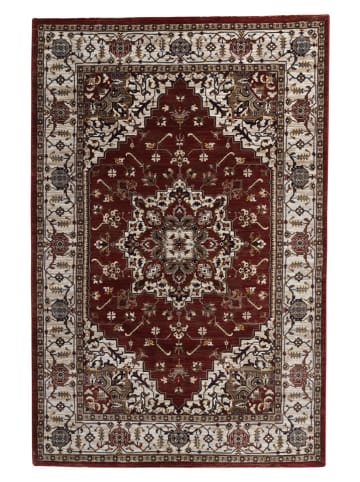 deco Rugs & Carpet Kurzflor-Teppich "Bazar" in Rot