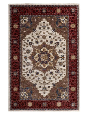 deco Rugs & Carpet Kurzflor-Teppich "Bazar" in Rot