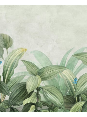 deco Rugs & Carpet Vinyl tapijt groen