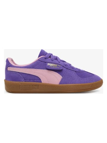 Puma Leder-Sneakers "Palermo" in Lila