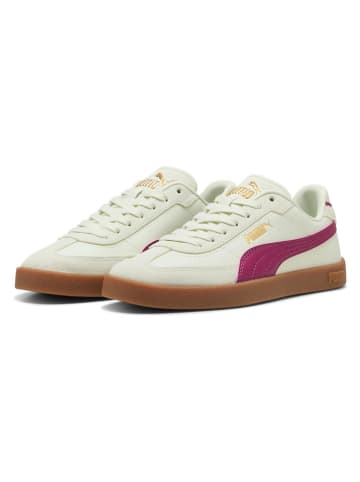 Puma Sneakersy "Club II Era" w kolorze jasnozielono-jagodowym