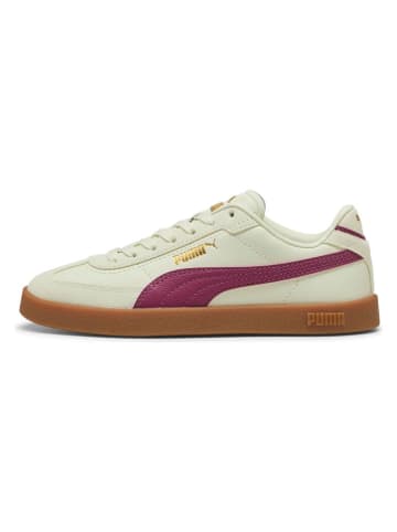 Puma Sneakersy "Club II Era" w kolorze jasnozielono-jagodowym