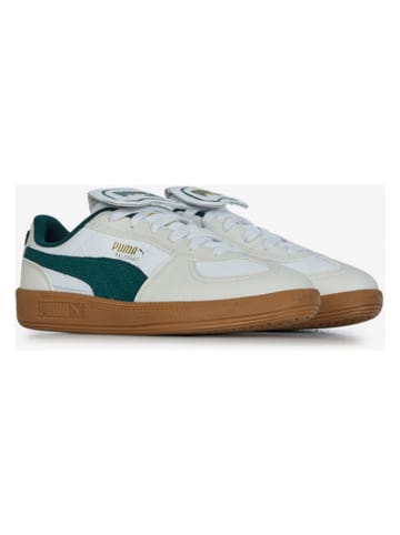 Puma Leren sneakers "Palermo Premium" groen/beige