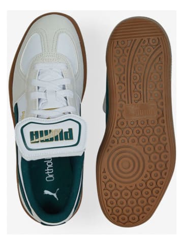 Puma Skórzane sneakersy "Palermo Premium" w kolorze zielono-beżowym