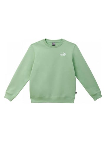 Puma Bluza w kolorze zielonym