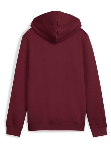 Puma Hoodie in Bordeaux