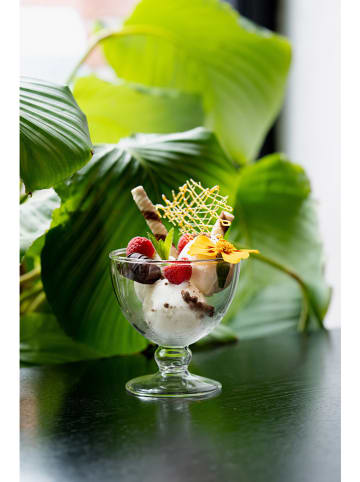 Vialli Design 2er-Set: Eisbecher - 250 ml