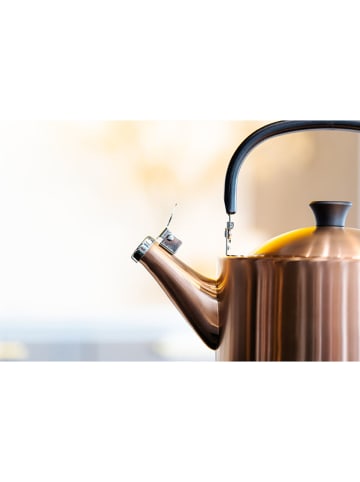 Vialli Design Roestvrijstalen waterkoker - 1,5 l