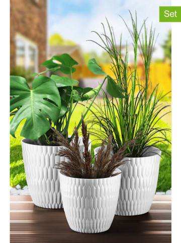 Evila 3-delige set: bloempotten wit