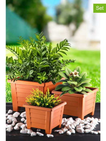 Evila 3er-Set: Blumentöpfe in Hellbraun