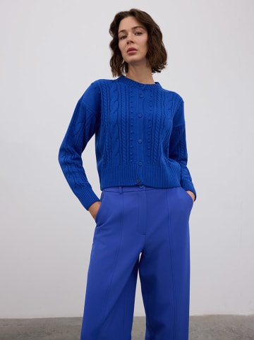 BGN Cardigan in Blau