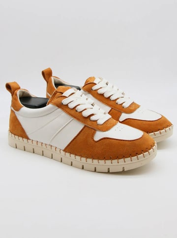 Bellucci Sneakers in Orange/ Weiß
