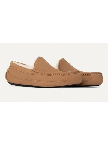 UGG Leder-Slipper "Ascot" in Hellbraun