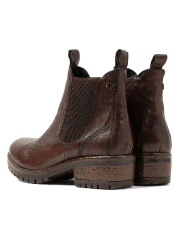 Lazamani Leren chelseaboots bruin