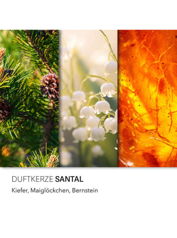 Candle Brothers Duftkerze ''Santal'' in Weiß - 510 g