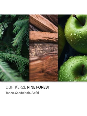 Candle Brothers Duftkerze ''Pine Forest'' in Grün - 510 g