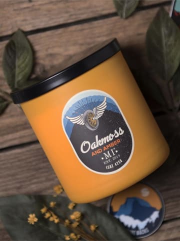 Colonial Candle Duftkerze "Oakmoss & Amber" in Orange - 425 g